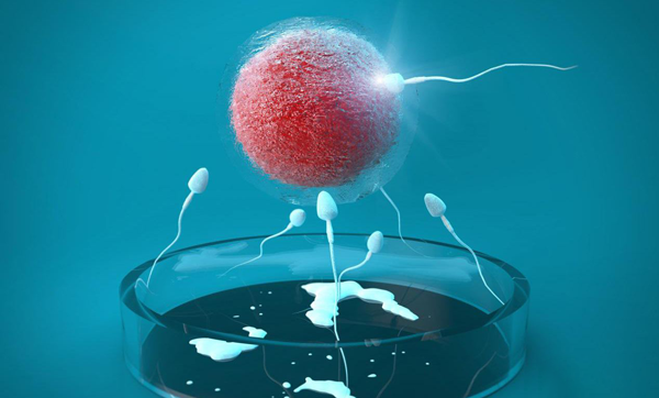 〖成都试管代怀生子多少钱〗成都试管生子费用多少